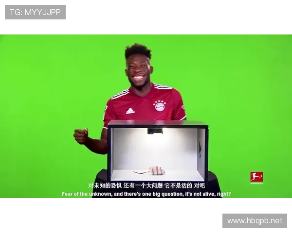 挑战判罚规则是什么意思？新手球员快速了解正确含义与适用场景